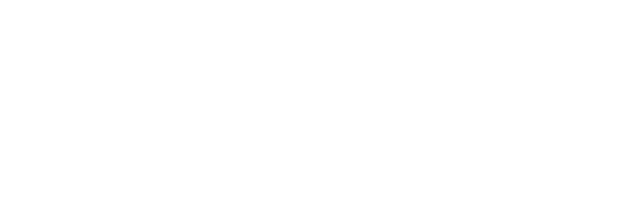 Comarch ESale