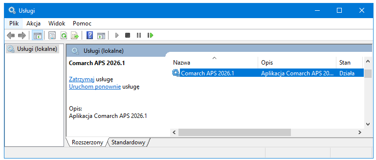 Stan działania usług Comarch APS 2026.1 z poziomu okna Usługi