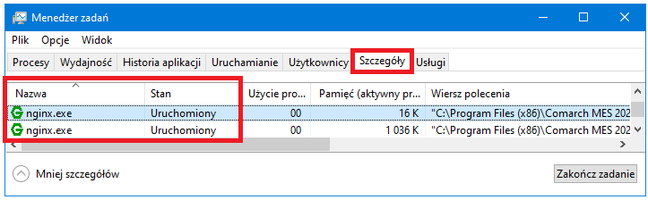 Procesy nginx.exe w Menedżerze zadań