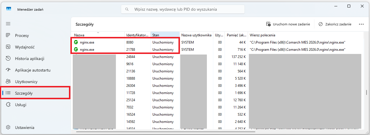 Procesy nginx.exe w Menedżerze zadań