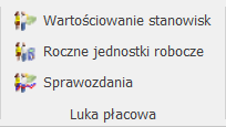 Wstążka modułu Płace i Kadry – grupa Luka płacowa