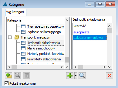 Jednostki składowania w oknie: Słowniki kategorii.